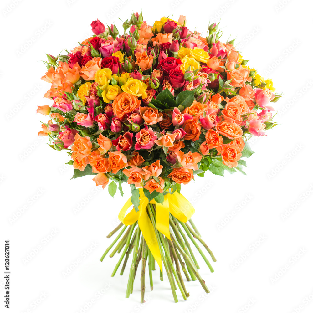 Obraz premium bouquet of shrub roses isolated on white background