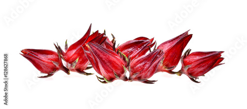 Hibiscus sabdariffa or roselle fruits on white background photo