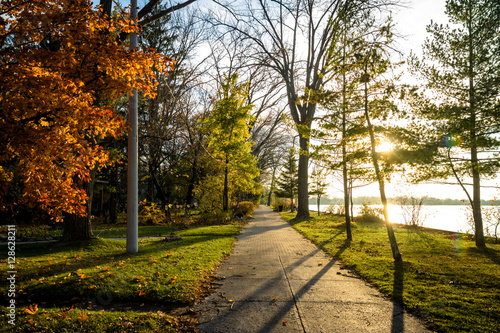 Wall Mural Autumn vegetation on an walkway path of Toronto Islands - Toronto, Ontario, Cana