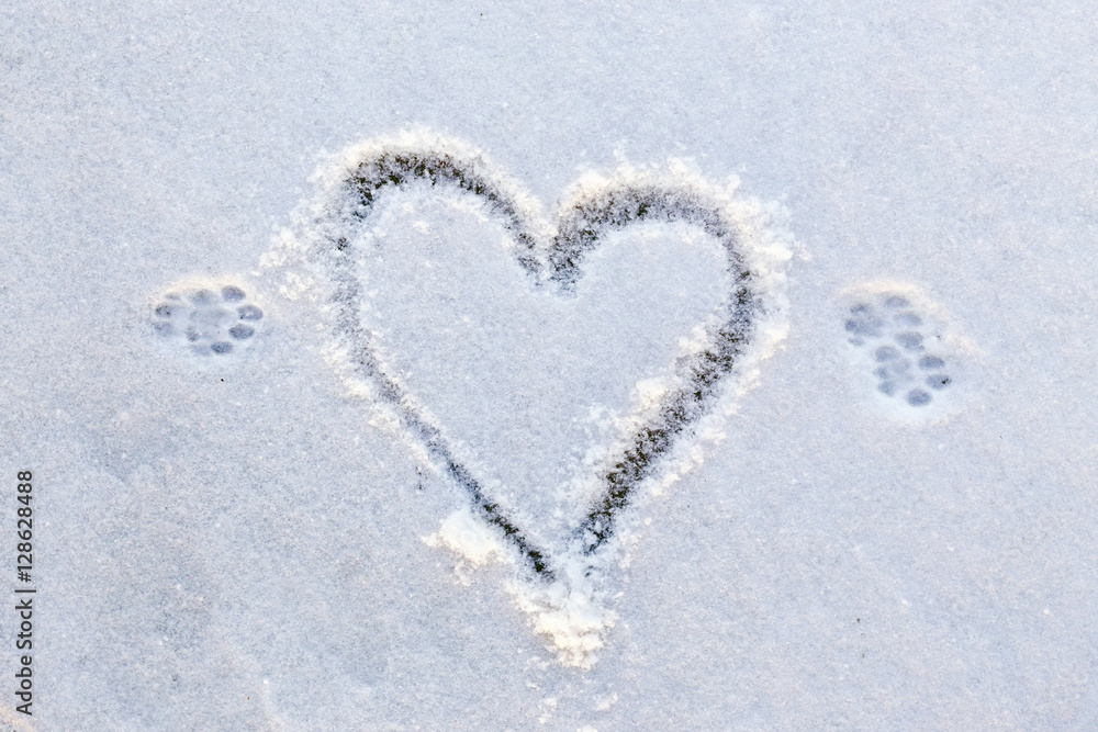 Animal's foot prints and heart shape on a first snow Animal's foot prints and heart shape on a first snow