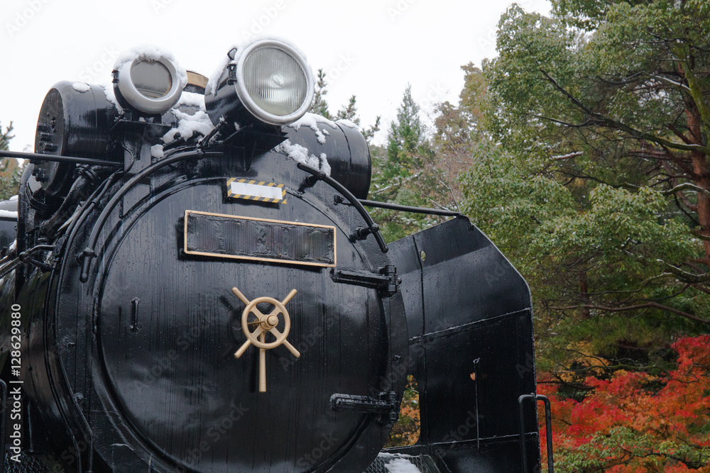 Naklejka premium Locomotive covered with snow