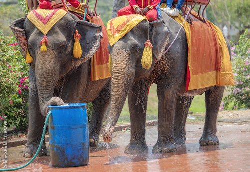 Photography Tourists on an ride elephant tour of the ancient city in Ayuttaya Thailand