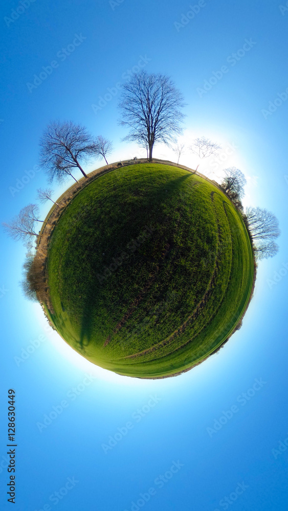 Little planet - spherical view of green fields with trees and blue sky Little planet - spherical view of green fields with trees and blue sky