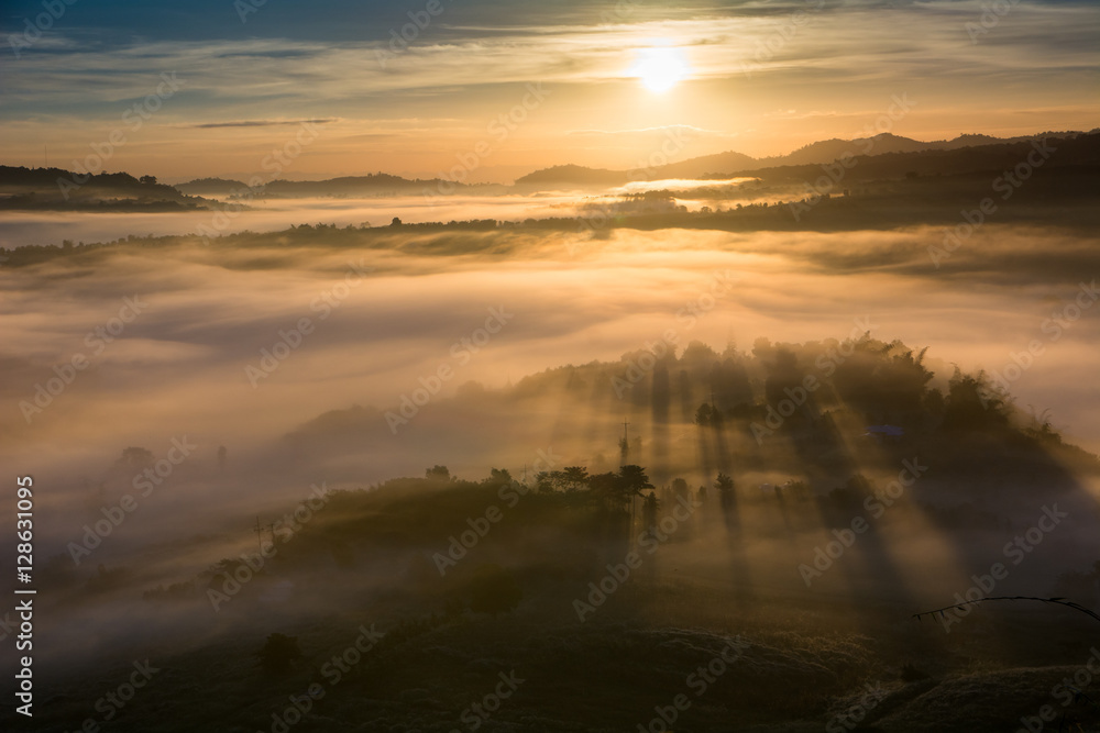 mist over the valley of mountain at sun rising giving a beautiful colour in the field mist over the valley of mountain at sun rising giving a beautiful colour in the field