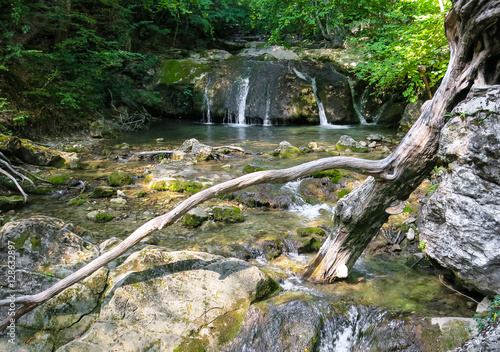 mountain river in the bottom of the canyon in a forest