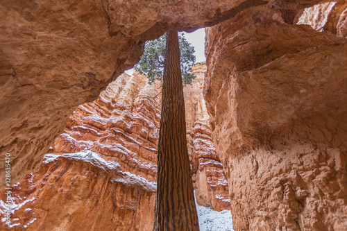 Bryce Canyon National Park ...