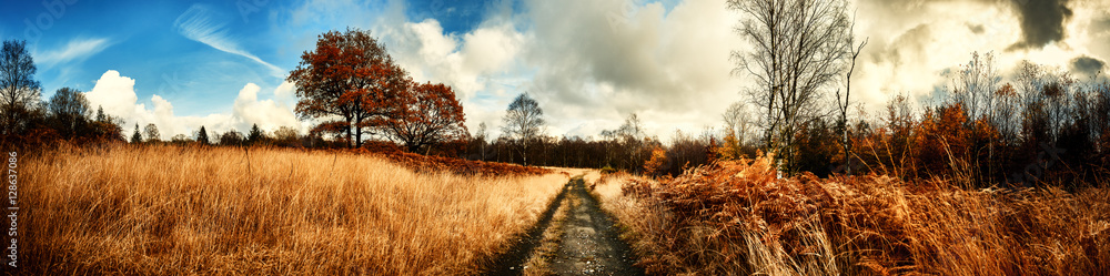 Panoramic autumn landscape with country path Panoramic autumn landscape with country path