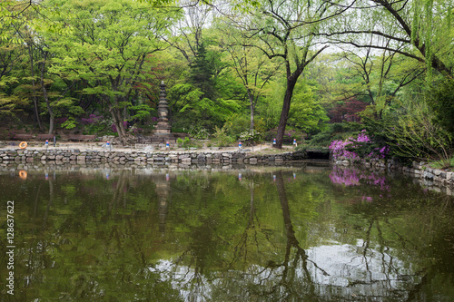 View of lush trees and shrubs next to the Chundangji pond - the rear garden of Changgyeonggung Palace in Seoul, South Korea.