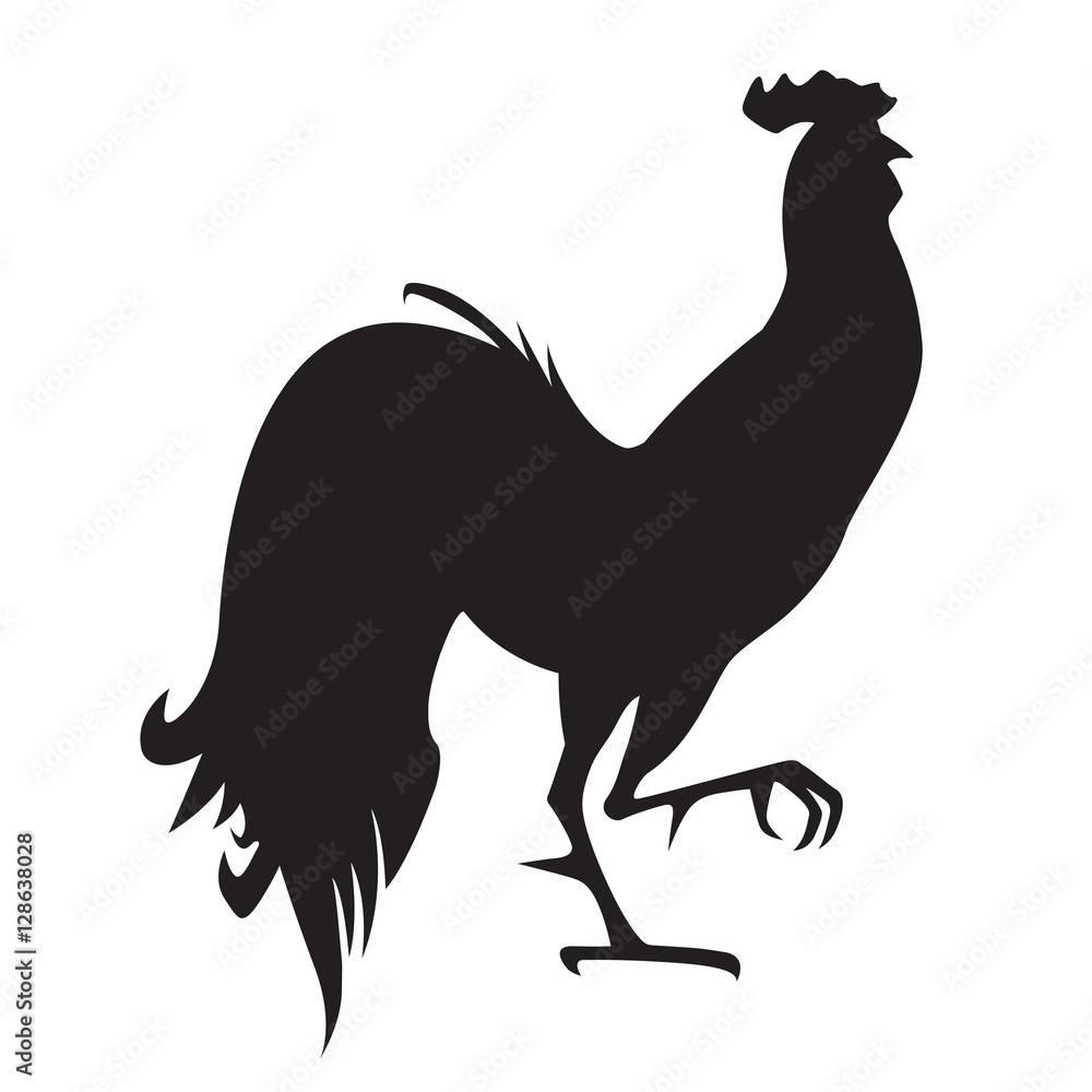 Fototapeta premium Black rooster on white background.