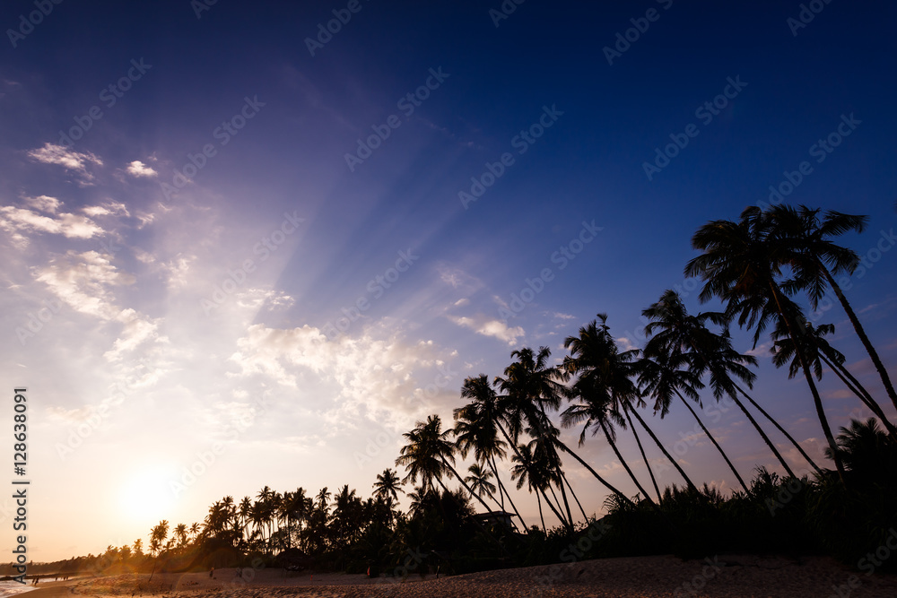 Beautiful life, sunset landscape on the tropical beach