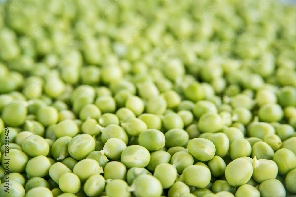 Green Peas background, texture, vegetable. Green Peas background, texture, vegetable.