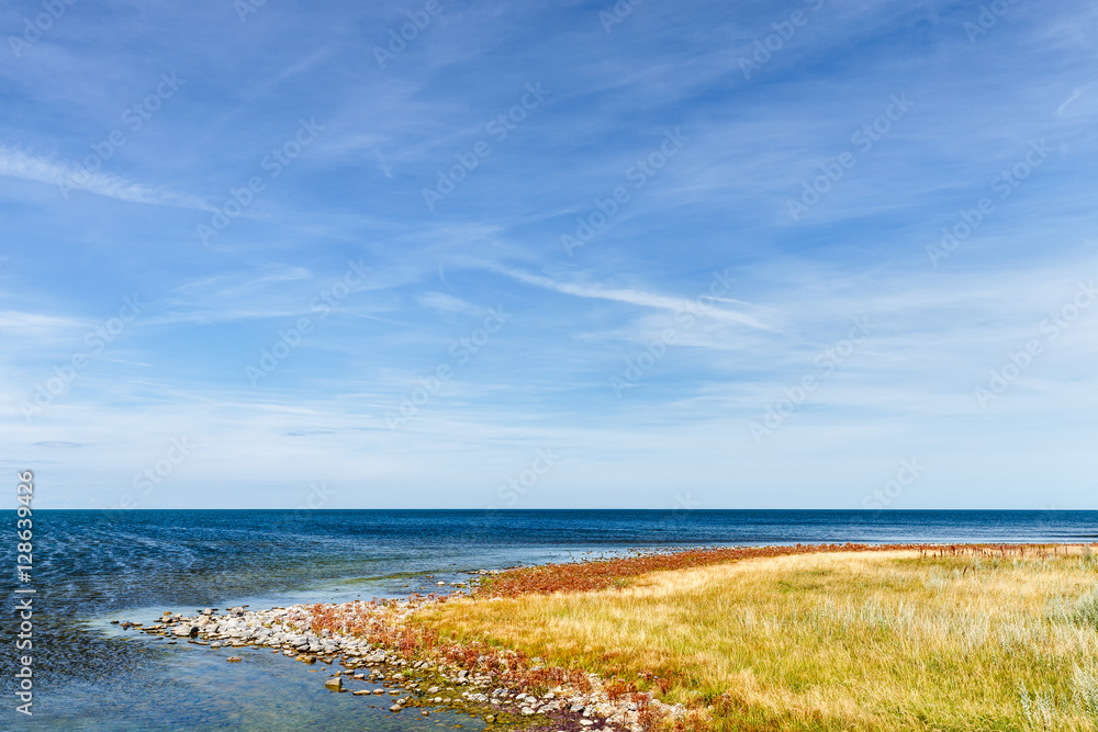 Swedish summer coastal landscape