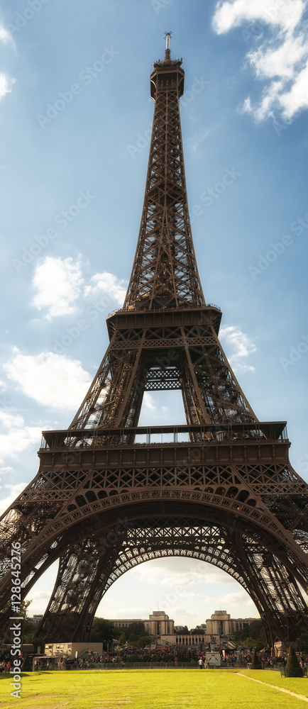 Obraz premium Eiffel Tower