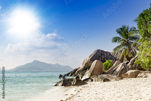 Tropical beach palm trees Seychelles