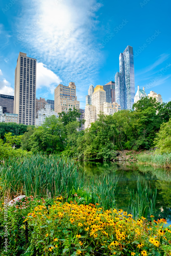 Fototapeta premium The Pond in Central Park with of the midtown Manhattan skyline in New York City