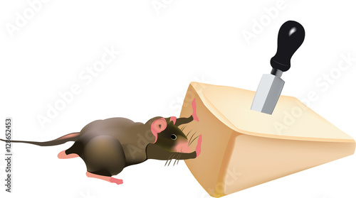 topo spinge parmigiano