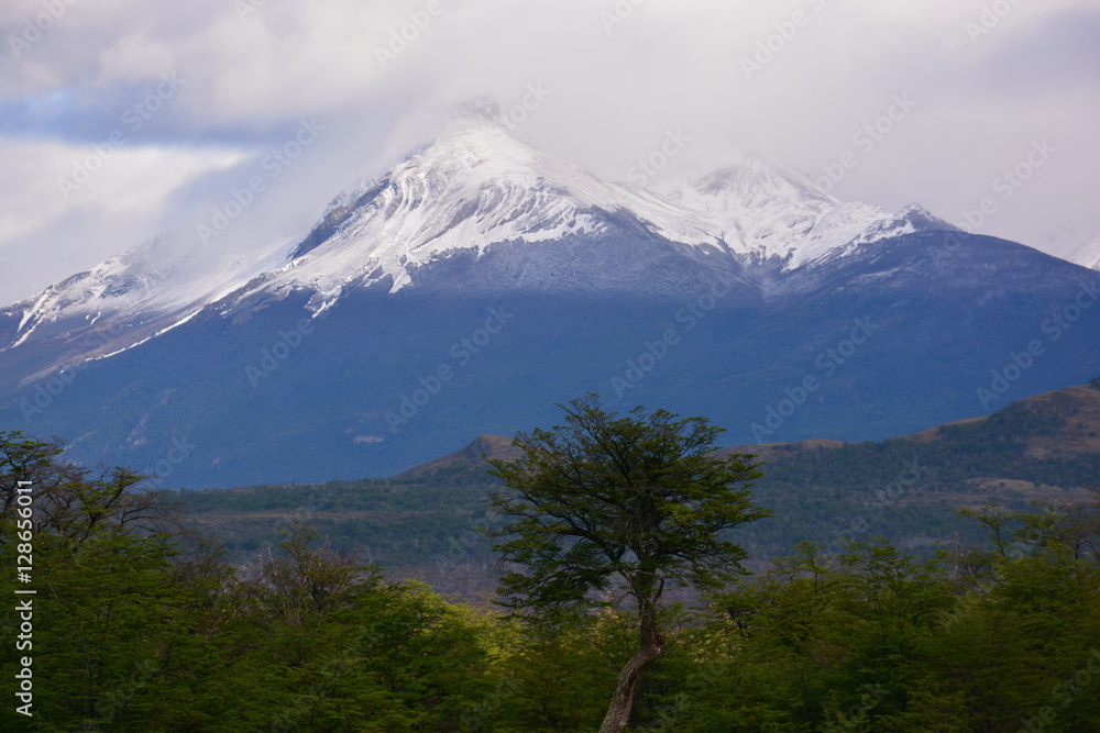landscape of volcano and forest in Patagonia Chile