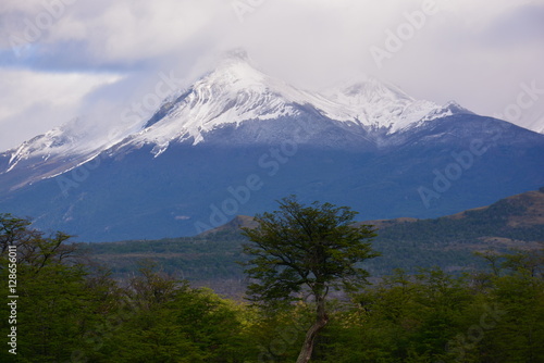 landscape of volcano and forest in Patagonia Chile © Alex