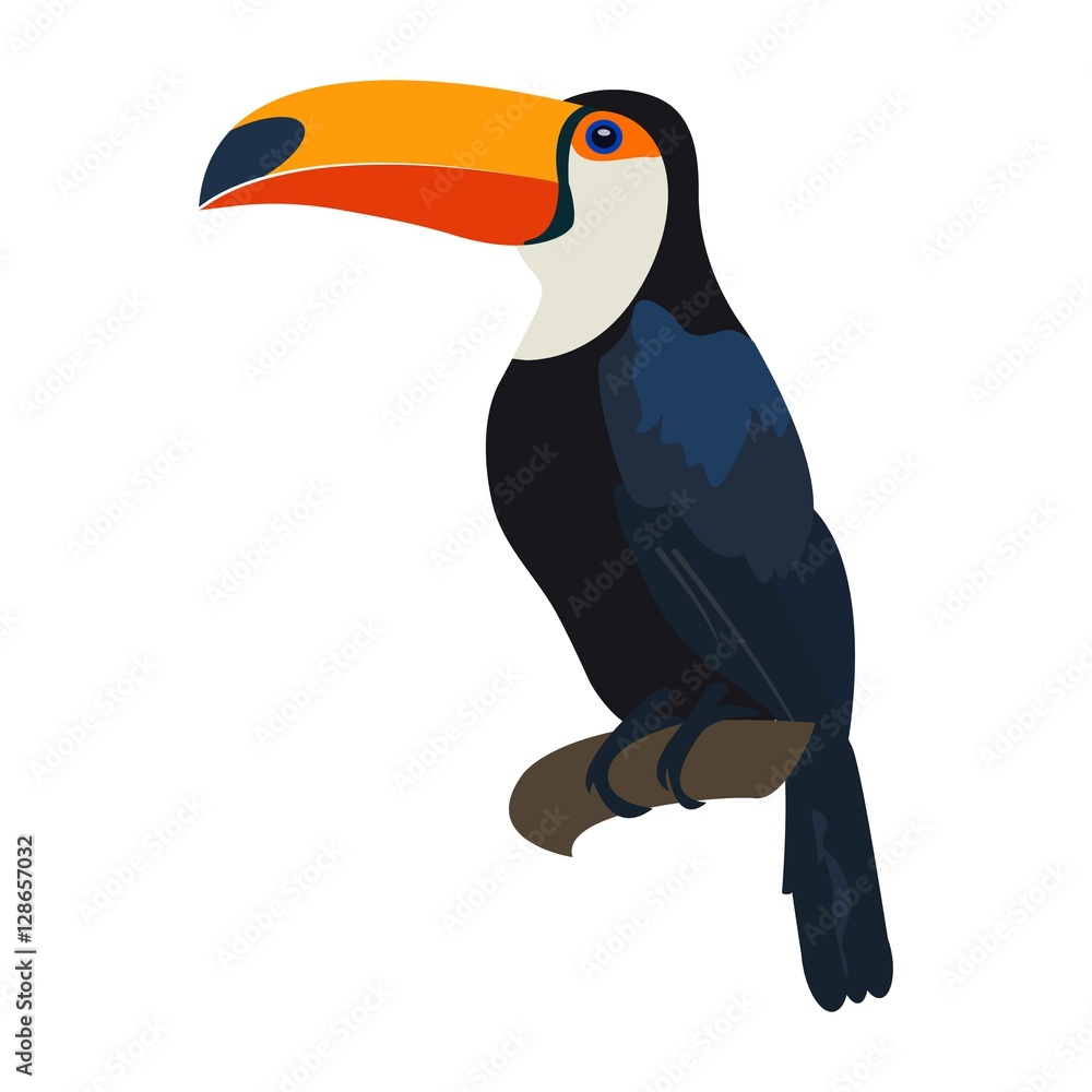 Fototapeta premium Toucan. Exotic and wild tropical bird. Toucan sitting on tree. Vector.