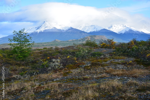 Landscape of volcano and forest in Patagonia Chile