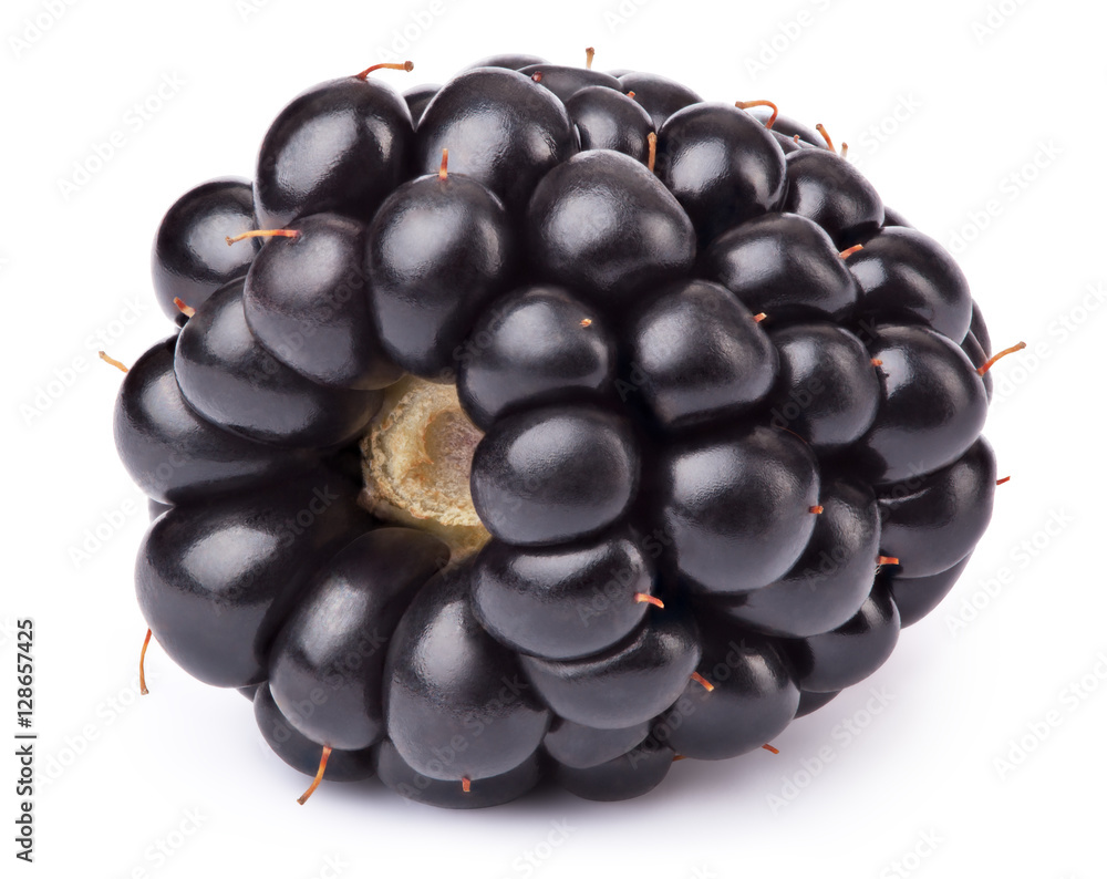 Ripe lying blackberry isolated on white background with clipping path Ripe lying blackberry isolated on white background with clipping path