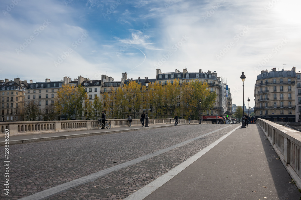 Obraz premium Bridge across the river Seine in Paris