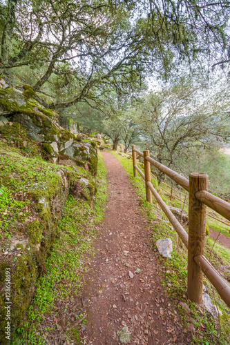 Monfrague National Park