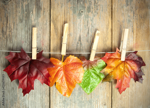Autumn leaves background