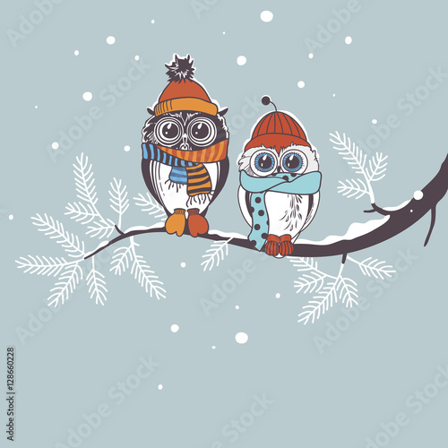 Template card with owls on branch. Greeting card for winter holidays. Drawing owl couple. 