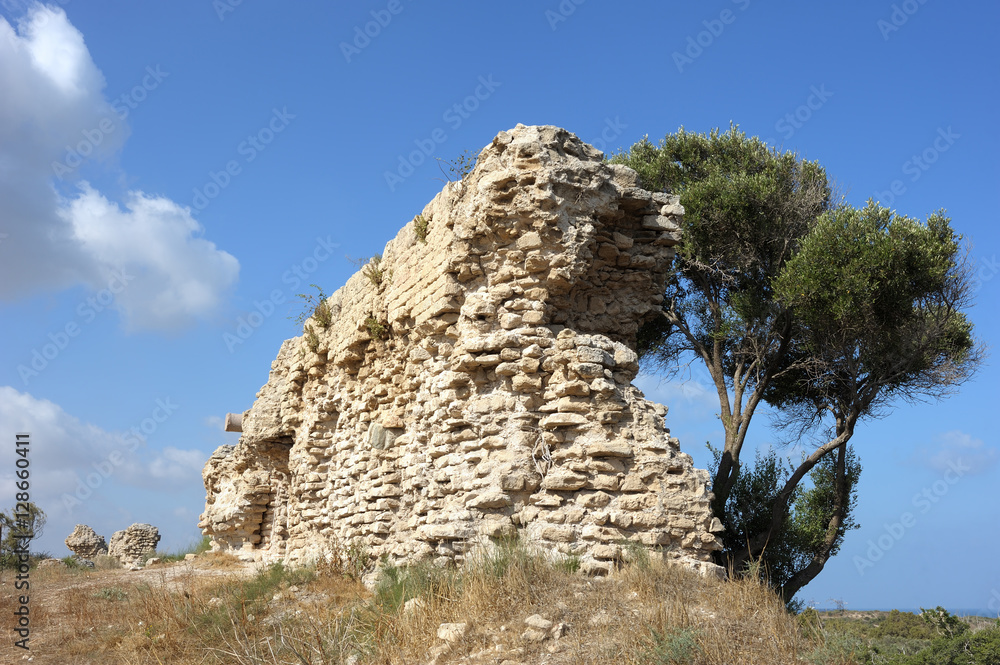 Fototapeta premium Remnants of the Crusader structures in the park of Ashkelon in Israel