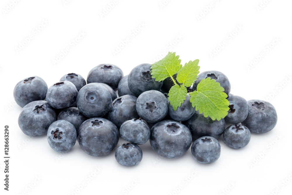 Close up of a blueberry branch isolated over white.