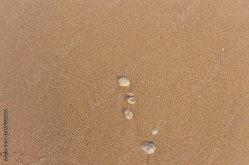 Stones on wet sand