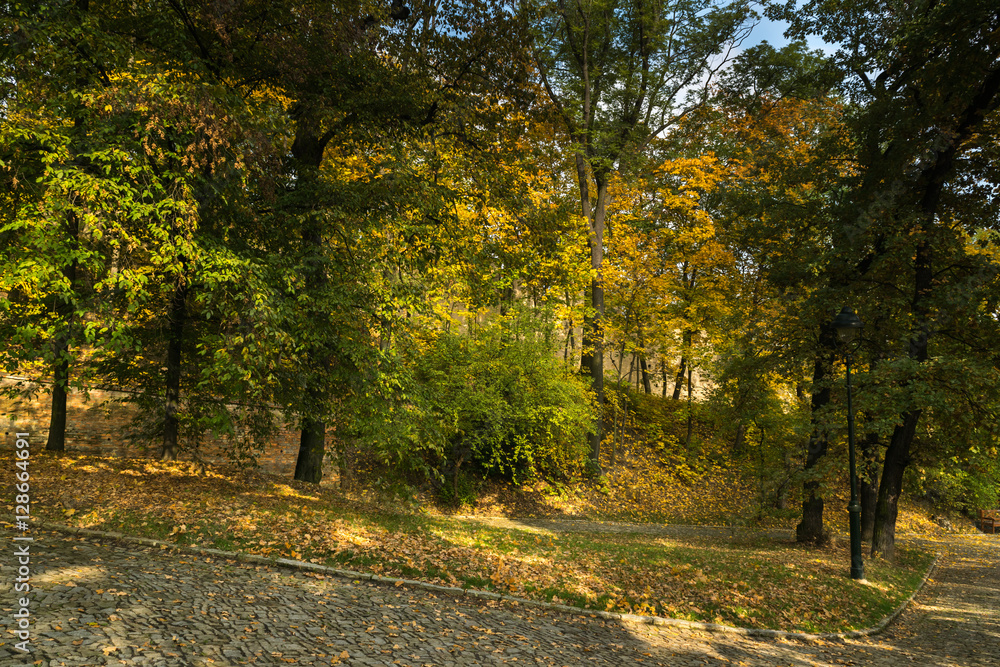 Autumn colors on a sunny day, Petrin and Kinsky parks, Prague, Czech Republic, Central Europe Autumn colors on a sunny day, Petrin and Kinsky parks, Prague, Czech Republic, Central Europe