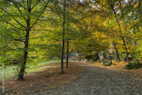 Autumn colors on a sunny day, Petrin and Kinsky parks, Prague, Czech Republic, Central Europe photo