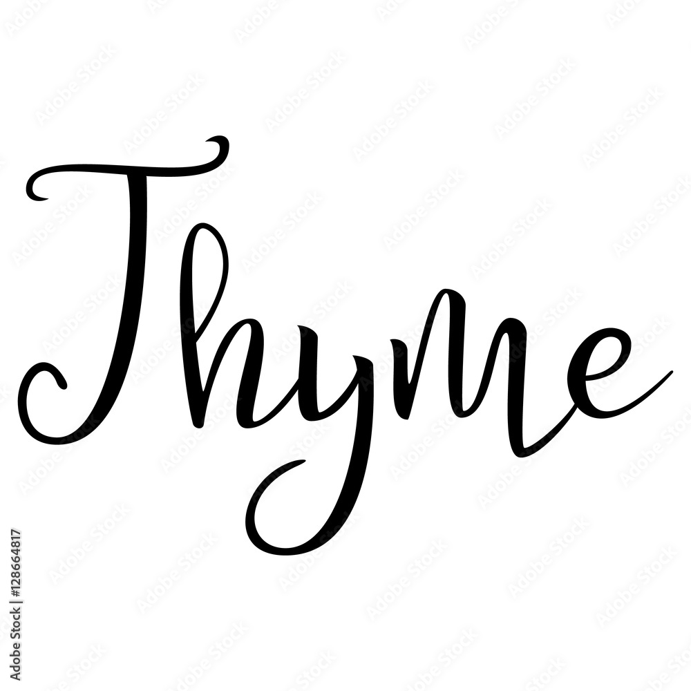 Thyme. Calligraphic Text. Typographic Design. Black Hand Lettering Text Isolated on White Background. For Posters, Design. Vector illustration Thyme. Calligraphic Text. Typographic Design. Black Hand Lettering Text Isolated on White Background. For Posters, Design. Vector illustration