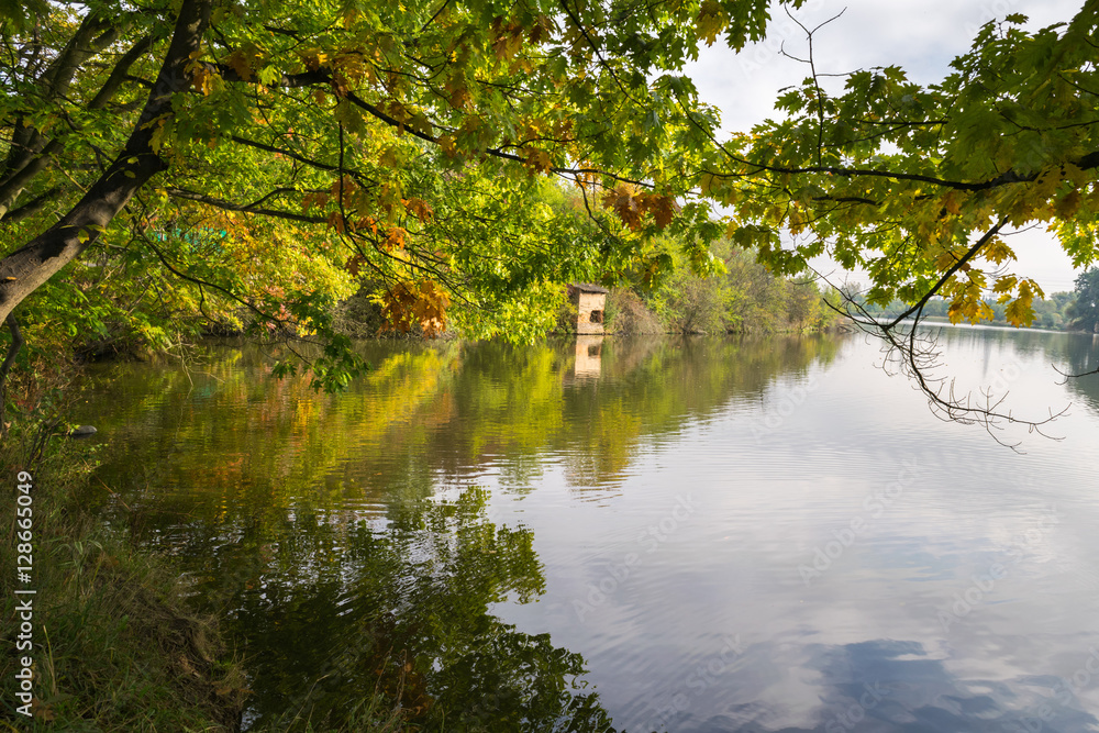 Autumn landscape, Calm swan floating, Kunratice, Seberak, Prague, Czech Republic, Central Europe