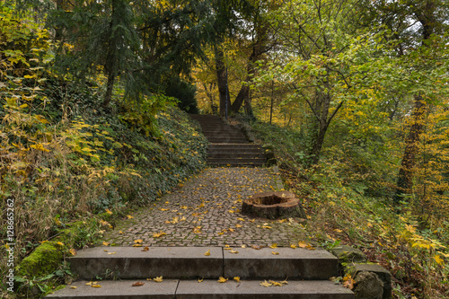 Autumn walks on a clouded day, Petrin and Kinsky parks, Prague, Czech Republic, Central Europe