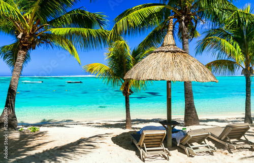 Fototapeta Naklejka Na Ścianę i Meble -  Relaxing tropical holidays with beach chairs under palm trees.