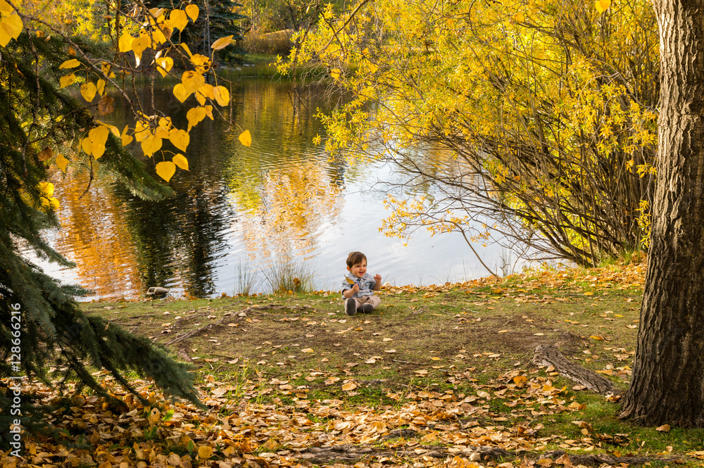 Baby boy holding an Autumn leaf in the park Baby boy holding an Autumn leaf in the park