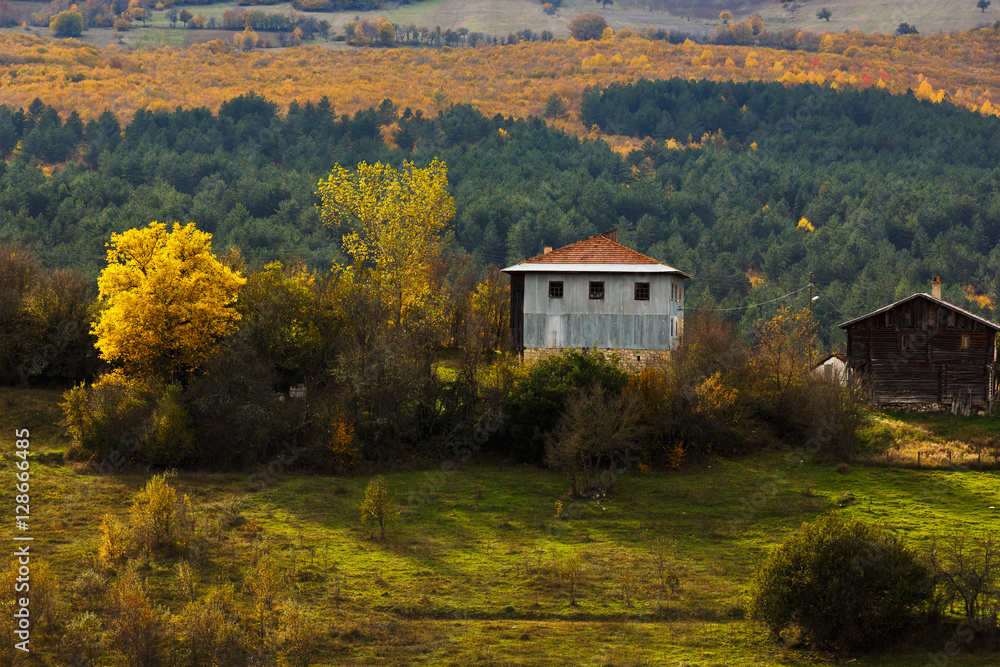Landscape beautiful autumn nature on the hillside of Kure Mountains in Kastamonu, Turkey Landscape beautiful autumn nature on the hillside of Kure Mountains in Kastamonu, Turkey