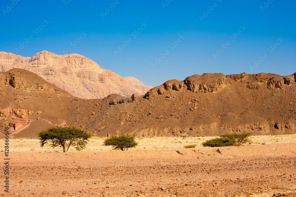Landscape from Timna National Park, Israel