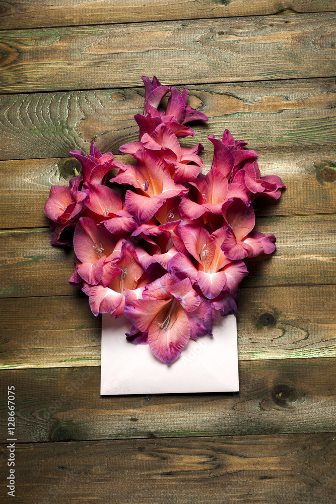 Colorful flowers in envelope, flower delivery concept. congratulate. Colorful flowers in envelope, flower delivery concept. congratulate.