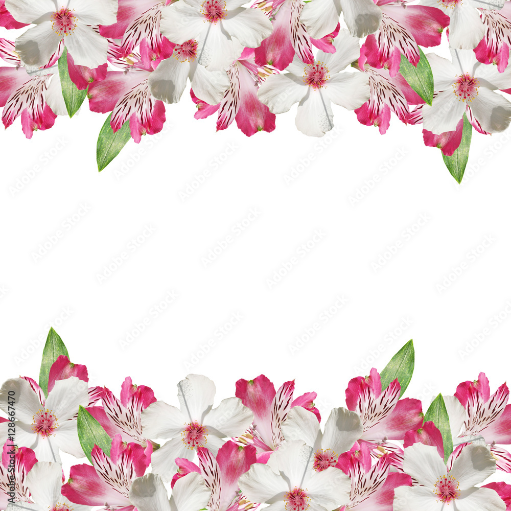 Beautiful floral pattern of pink alstroemeria and white hibiscus  