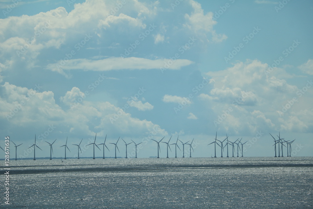 Fototapeta premium Wind power station on the Baltic Sea, Scandinavia
