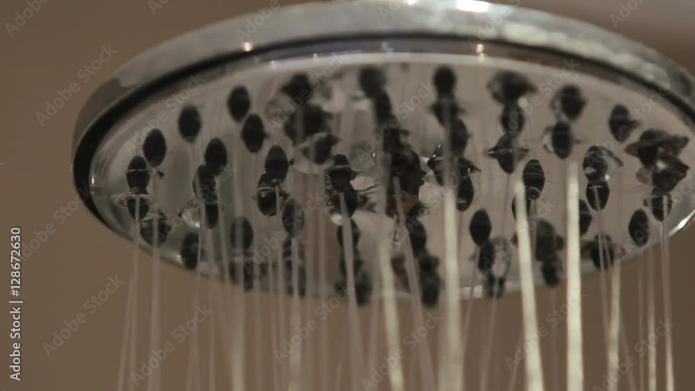 Water Shoots Out Of Shower Metal Chrome Head - Close Up - Bathroom Everyday Scenes Water Shoots Out Of Shower Metal Chrome Head - Close Up - Bathroom Everyday Scenes