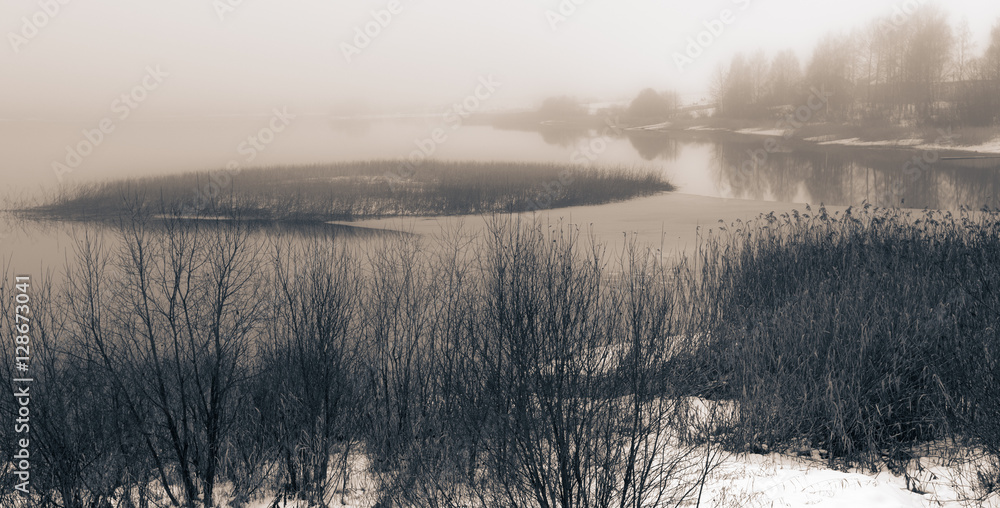 Monochrome landscape in style grunge tinted in sepia. Lake coast Monochrome landscape in style grunge tinted in sepia. Lake coast