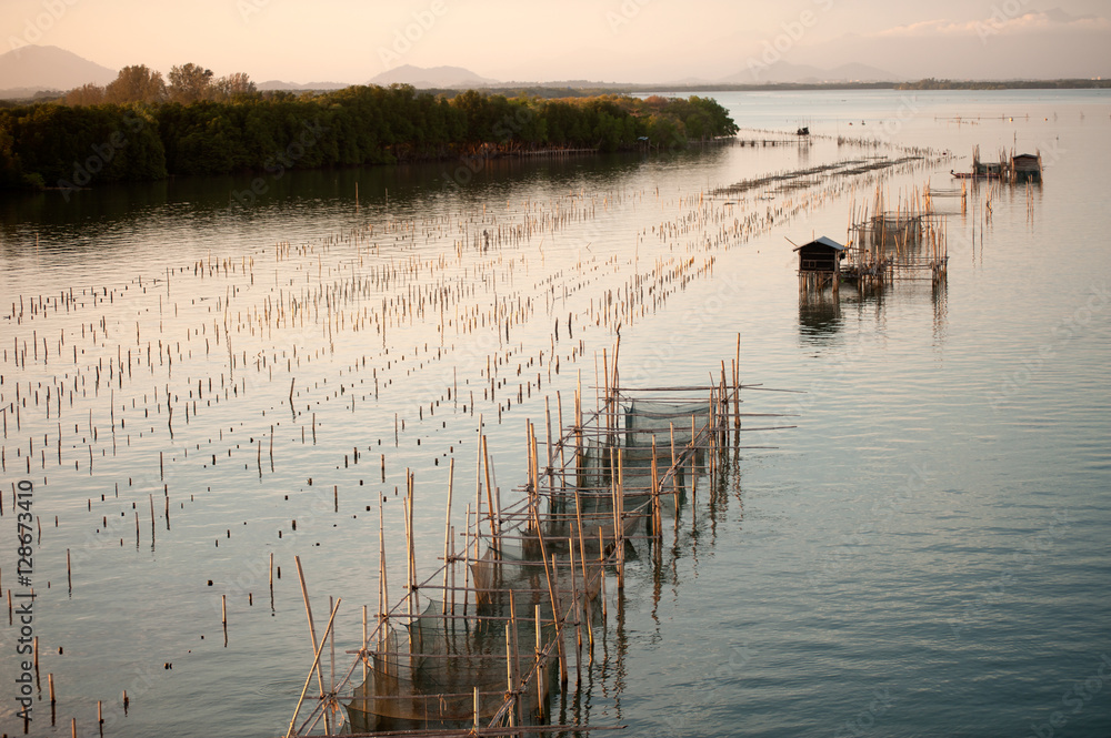 Fishing traps in Net Fishing Thailand, Thailand Shrimp Fishing. Fishing traps in Net Fishing Thailand, Thailand Shrimp Fishing.