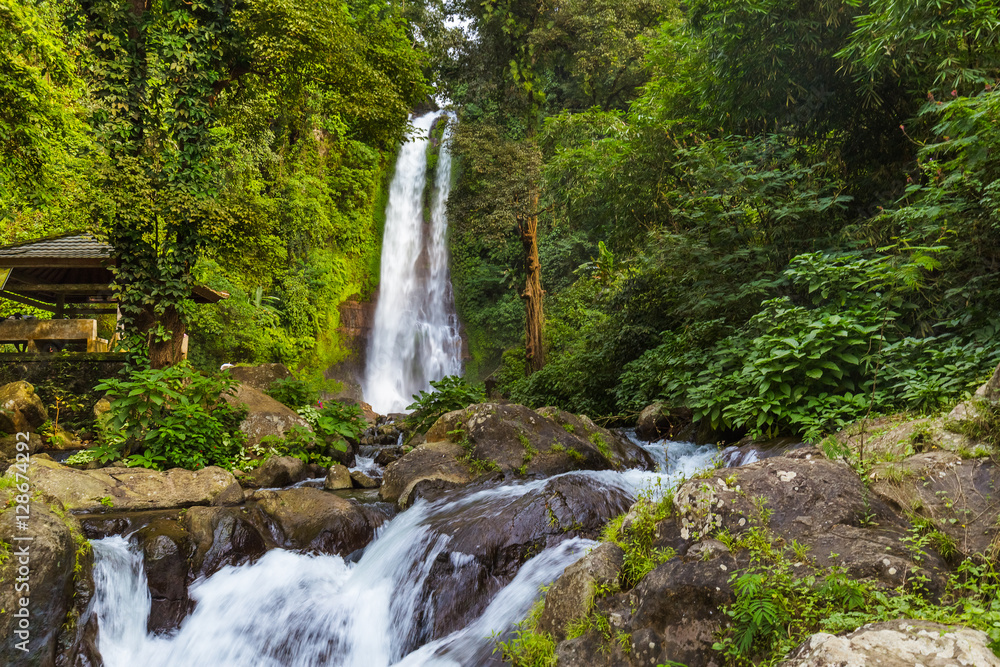 Fototapeta premium Gitgit Waterfall - Bali island Indonesia