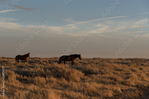 Wild Horse Scenic Loop near Rock Springs  Wyoming 