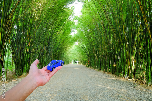 The left arm of a man are show car toy blue on the hand in the bamboo arbor background.